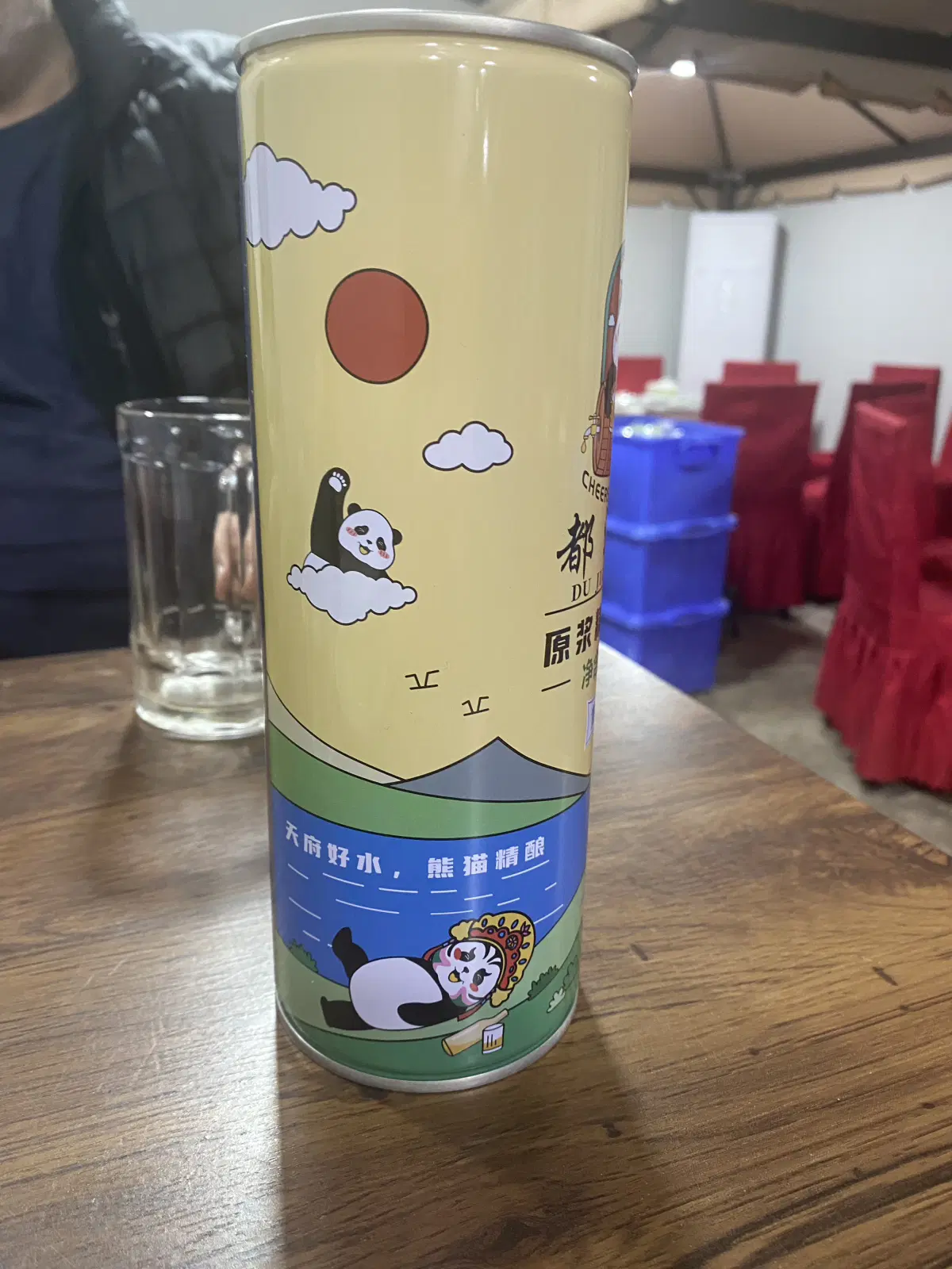 Китай. Ченду. Панды и плотина. 29 октября 2025.