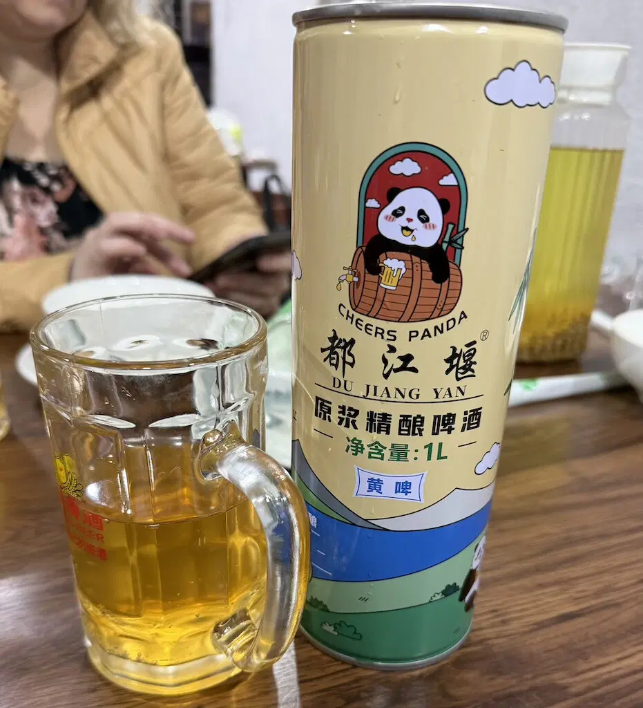 Китай. Ченду. Панды и плотина. 29 октября 2025.