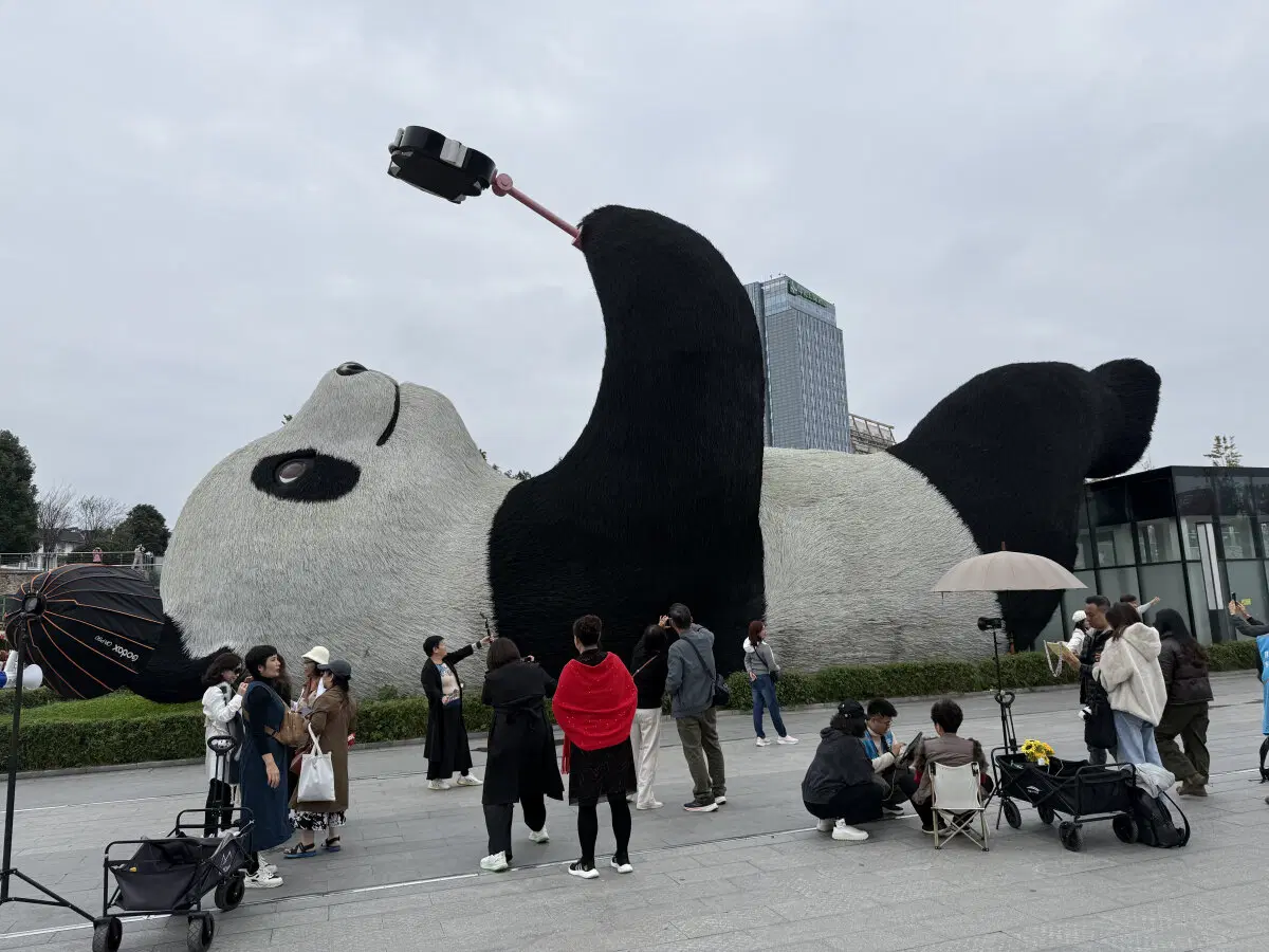 Китай. Ченду. Панды и плотина. 29 октября 2025.