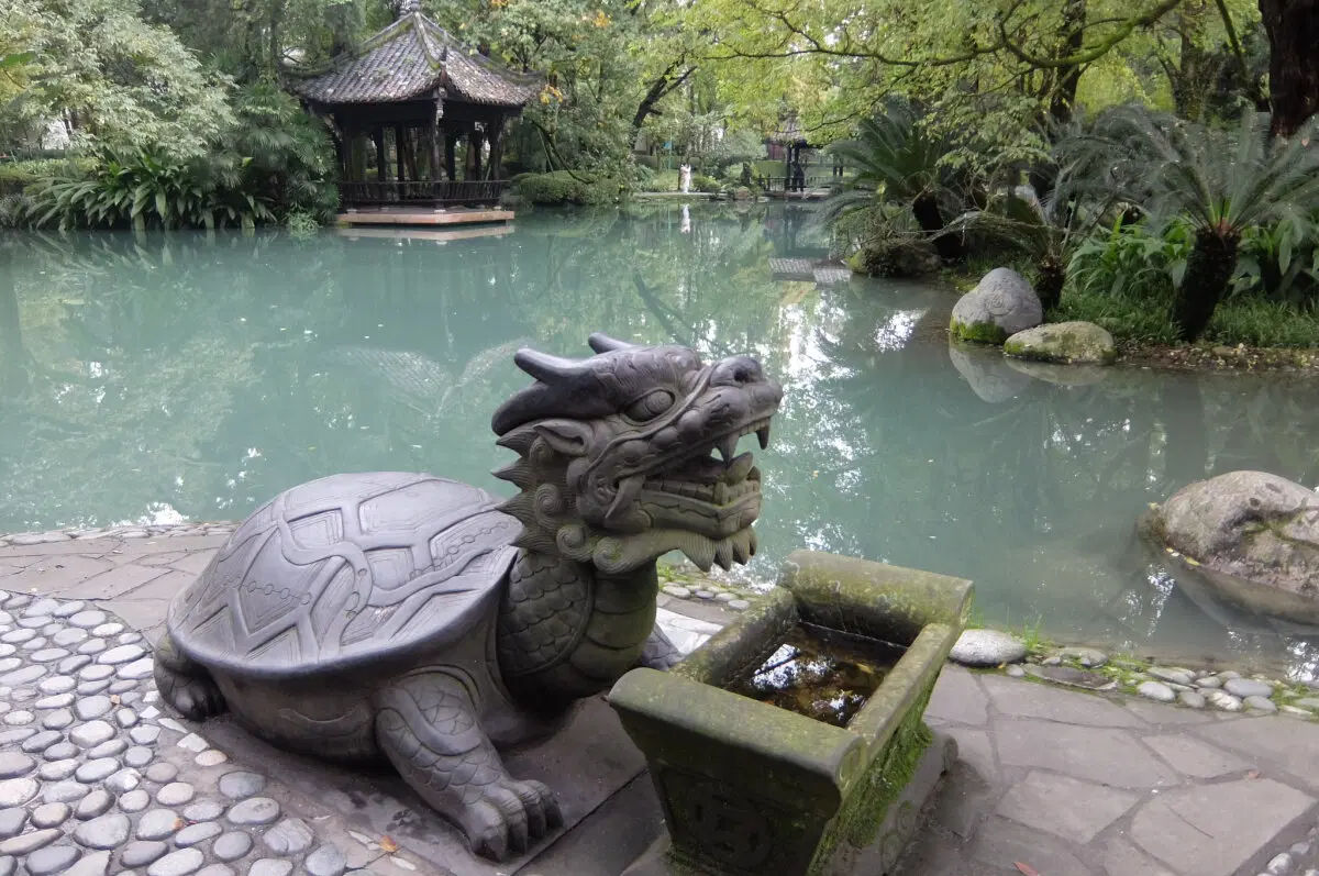 Черепаший дракон