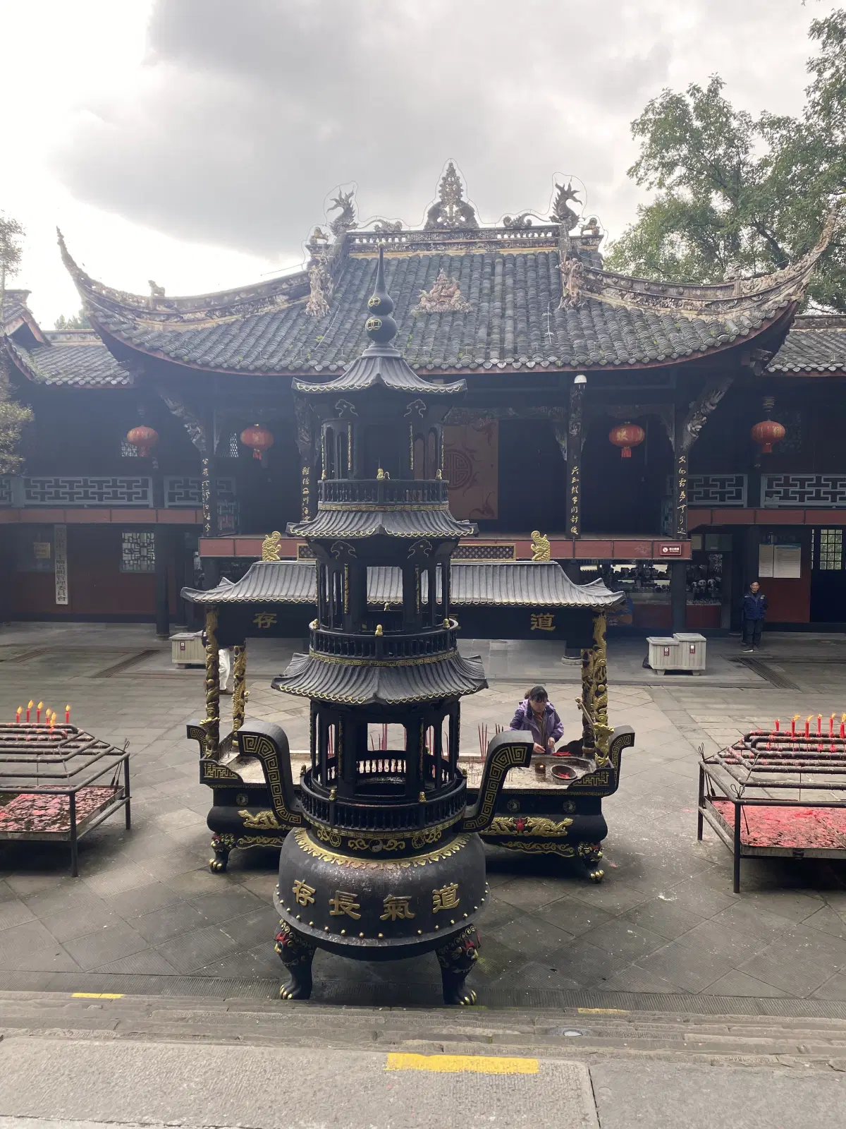 Китай. Ченду. Панды и плотина. 29 октября 2025.