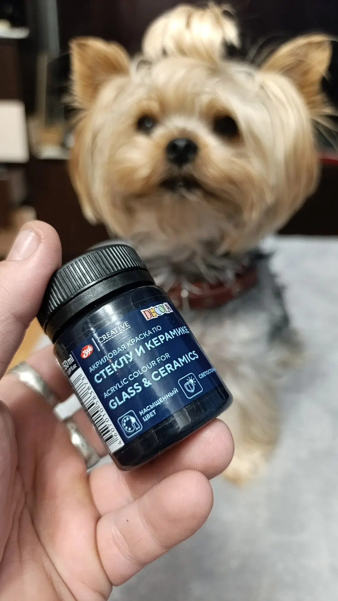 Хозяин, она точно хорошая