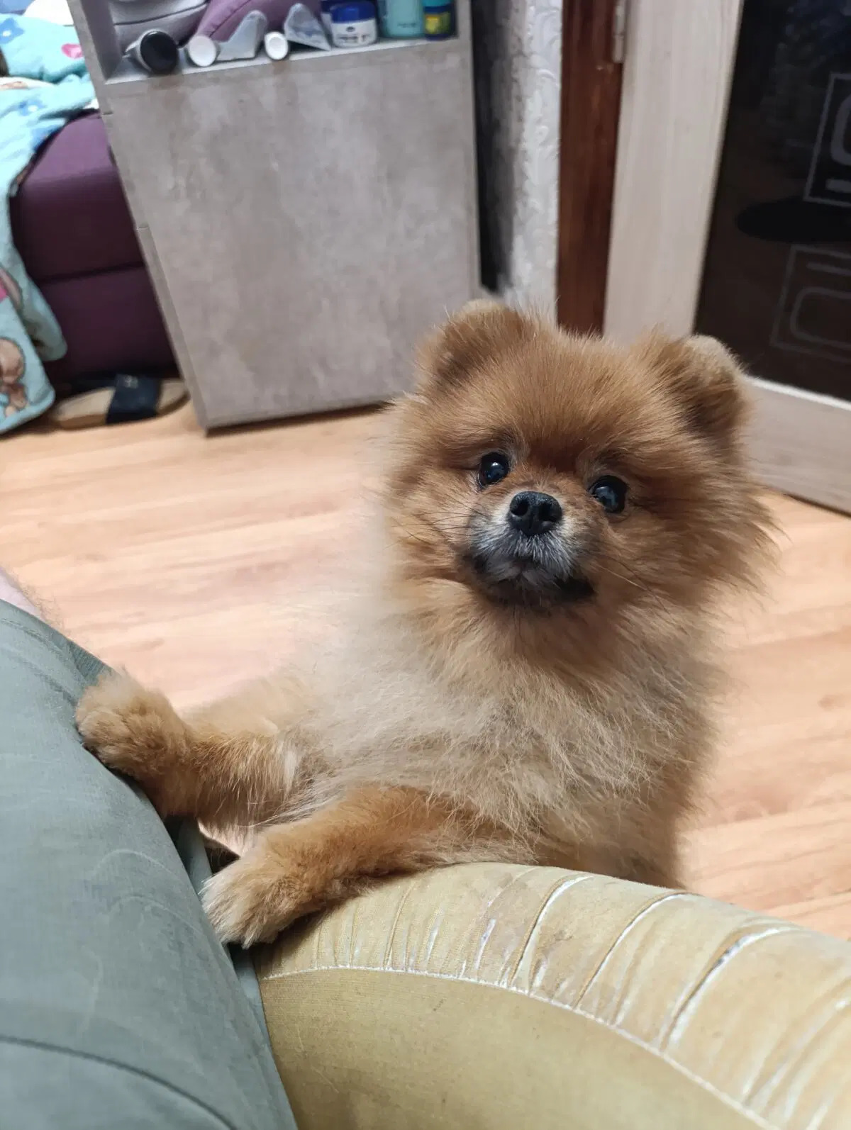 Меня покажи, меня покажи🤣🤣🤣🤣