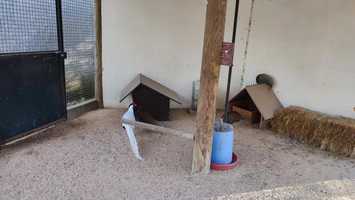 Французкая окраина.