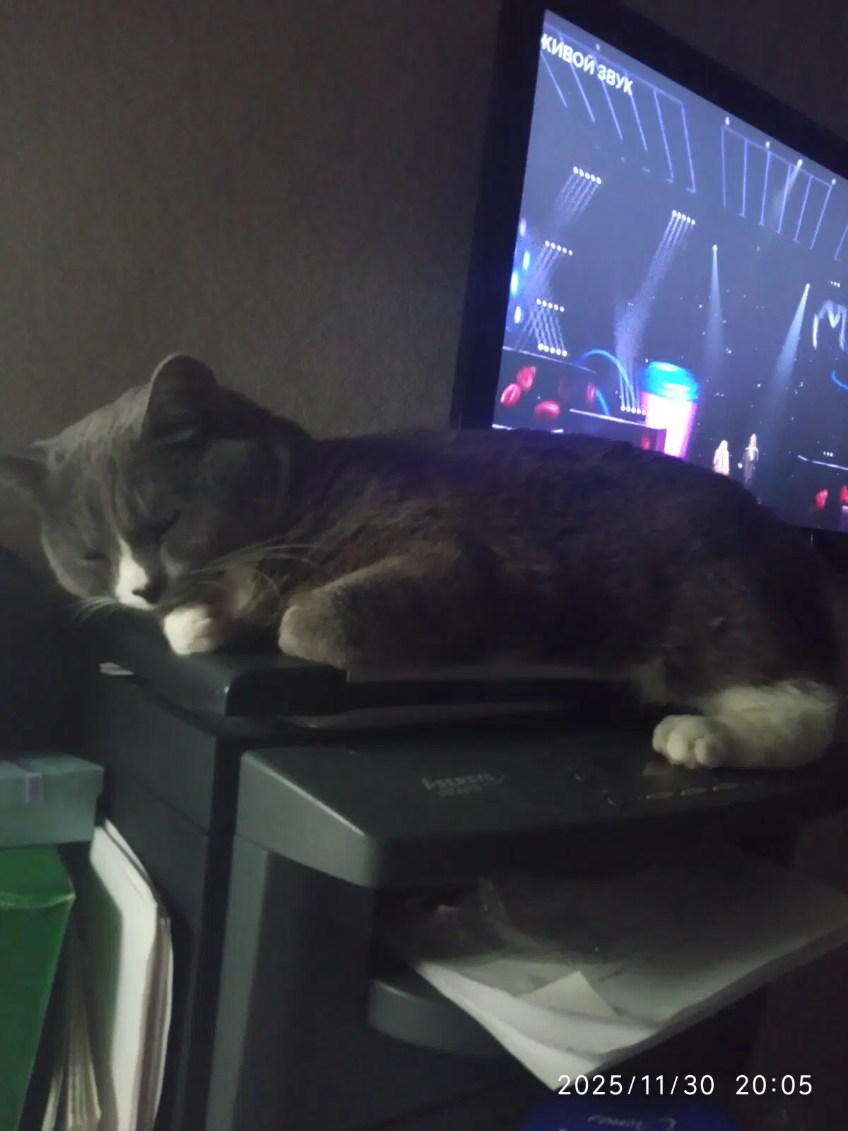 Сорри за качество - снималось на тапок