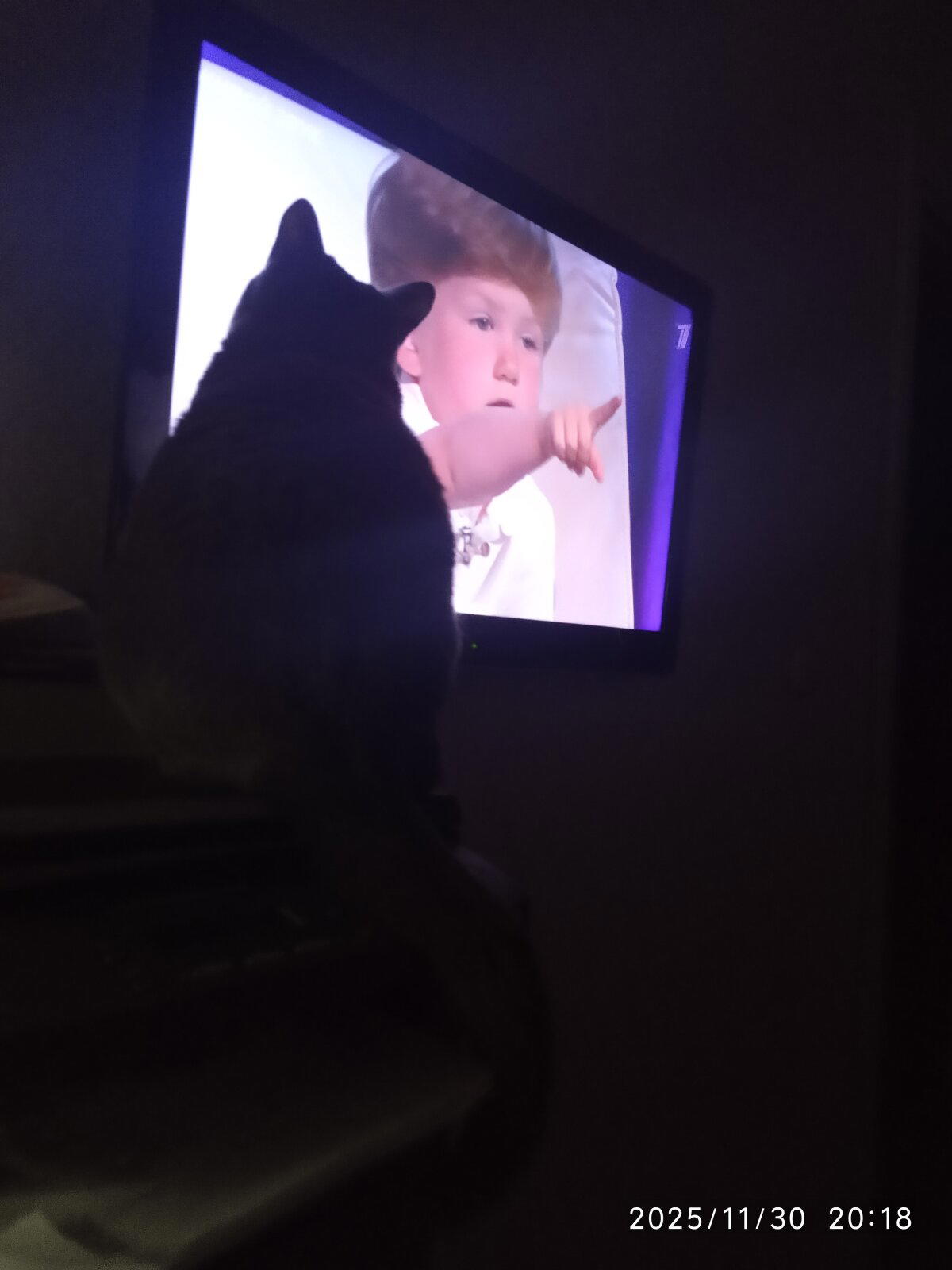 Вспышку не включал, потому как жена спит...