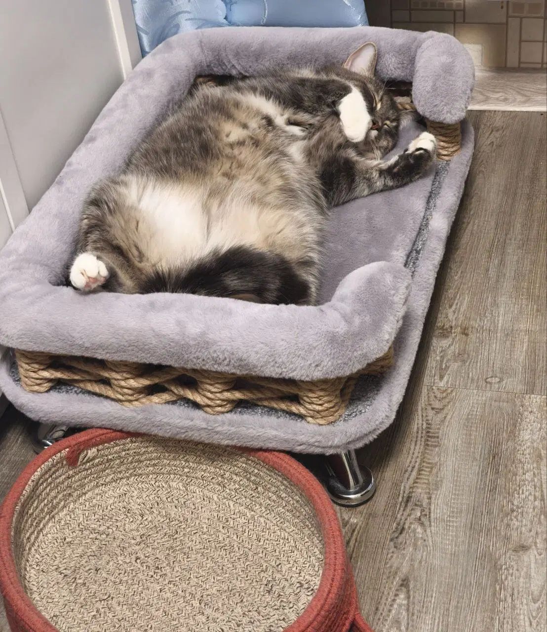 Сэр Макс - валятельный кот