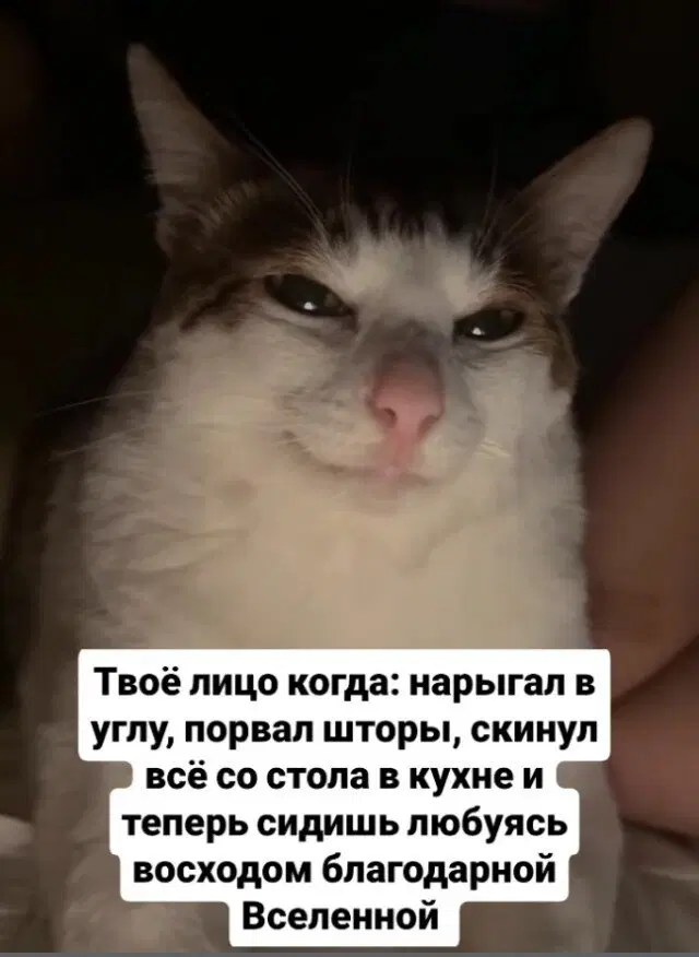 Новая неделя, новая дичь.