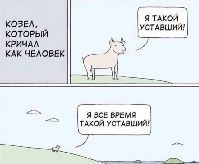 Новая неделя, новая дичь.