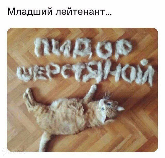 Новая неделя, новая дичь.