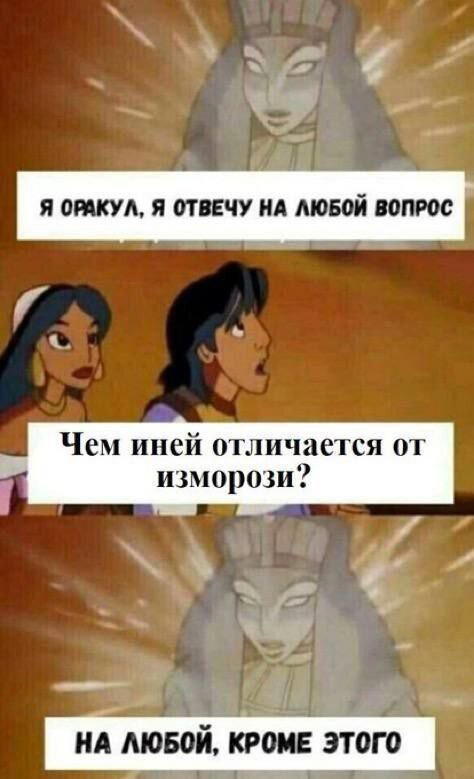 Новая неделя, новая дичь.