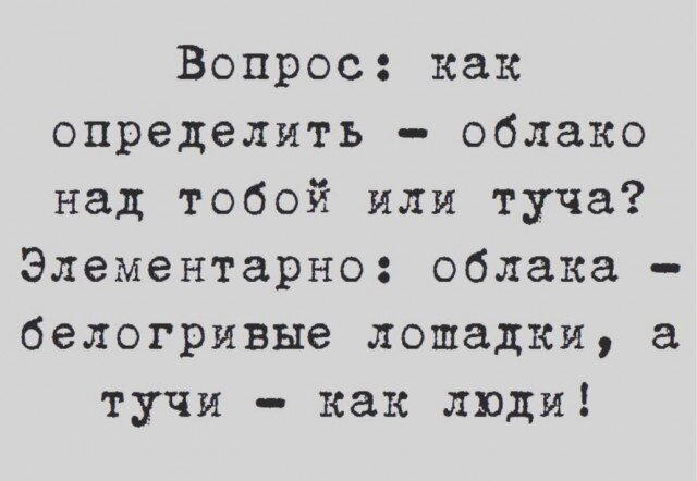 Новая неделя, новая дичь.