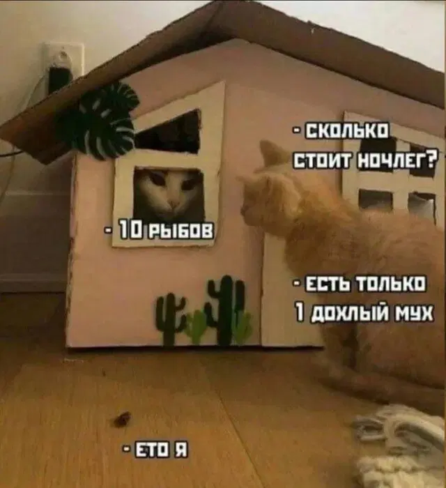 Новая неделя, новая дичь.