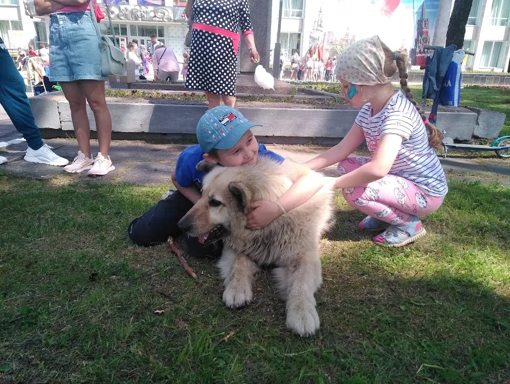 Пост моей грусти