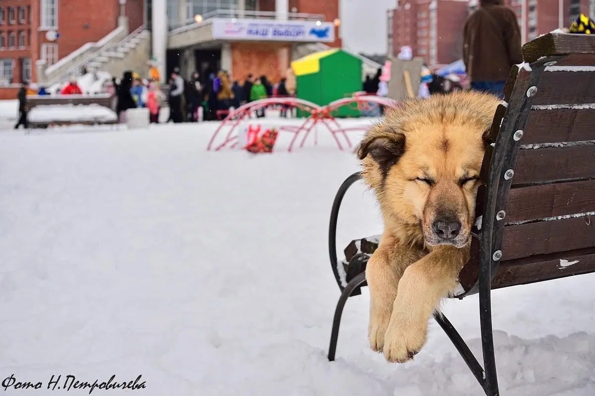 Пост моей грусти