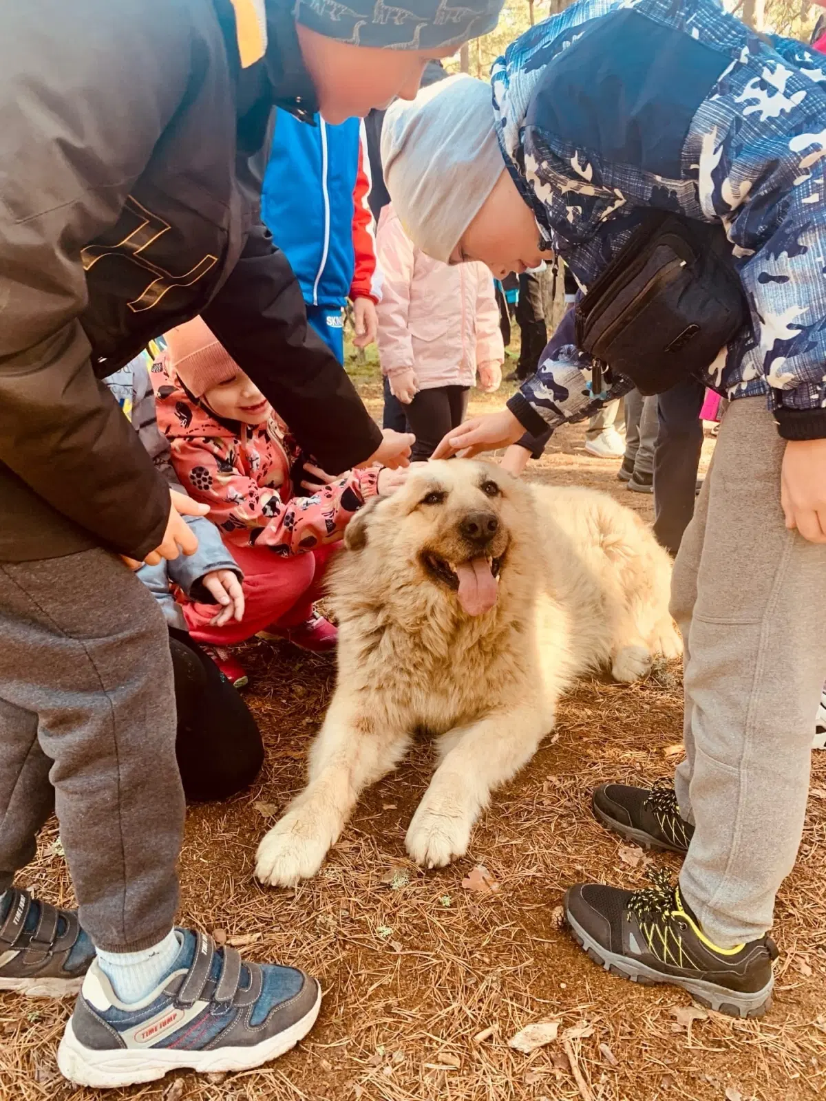 Пост моей грусти
