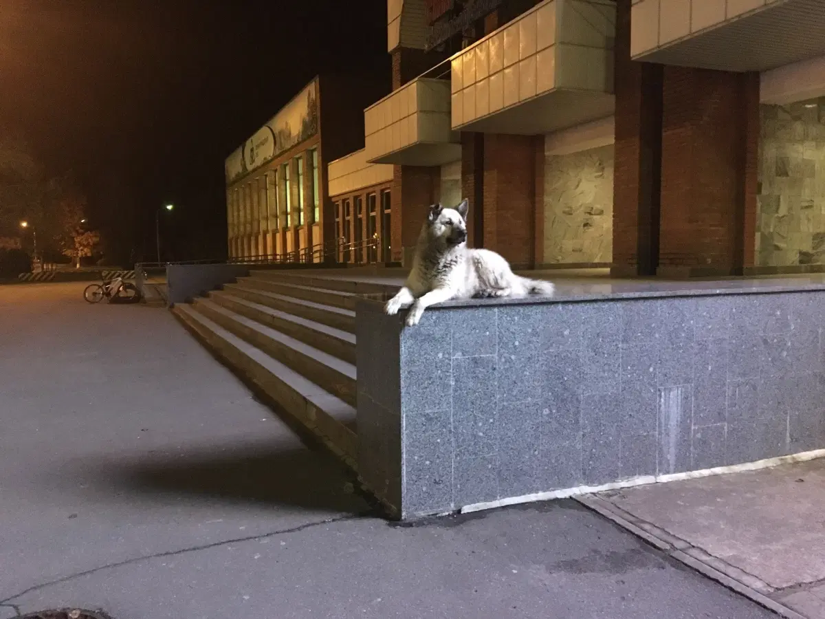 Пост моей грусти