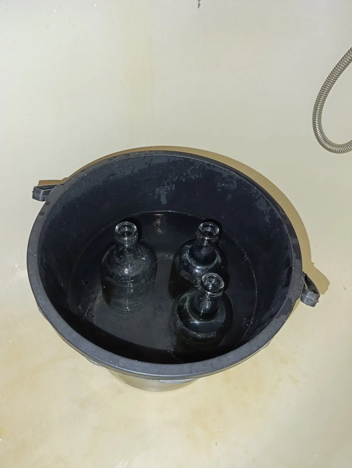 Высохли и айда купаться🤣🤣🤣