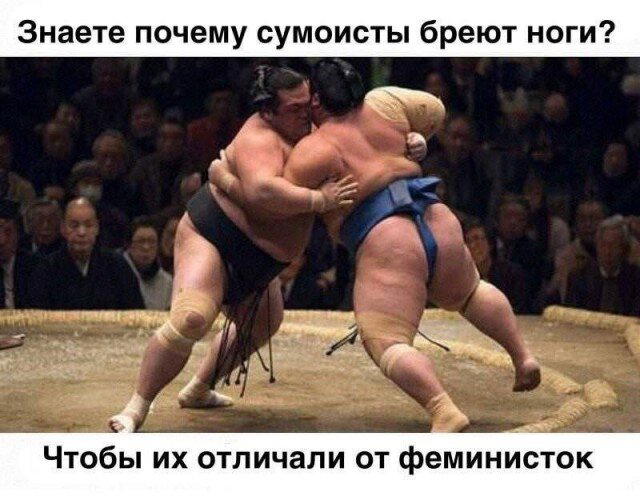 Дичка для вторника