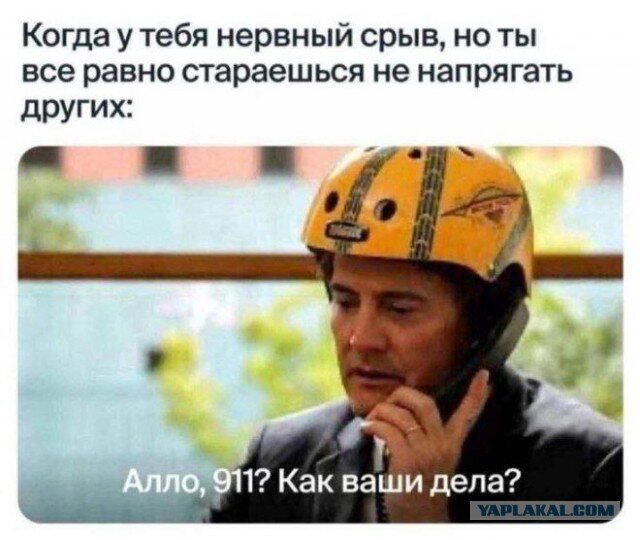 Дичка для вторника