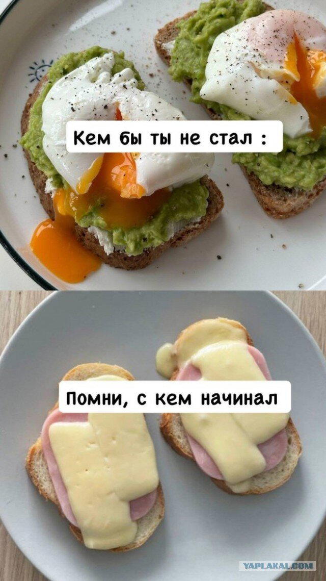 Дичка для вторника
