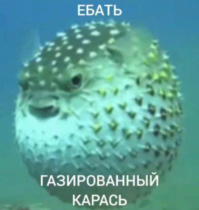 Дичка для вторника