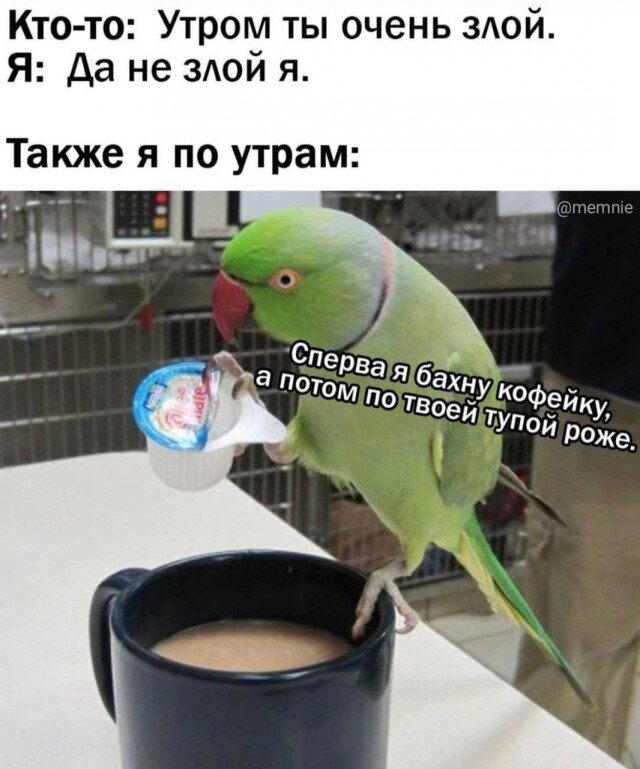 Дичка для вторника