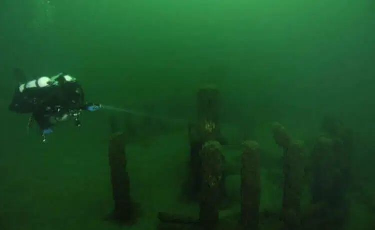 Но судя по отсутвиям упоминаний хер пойми вернулся доктор Херли или нет 