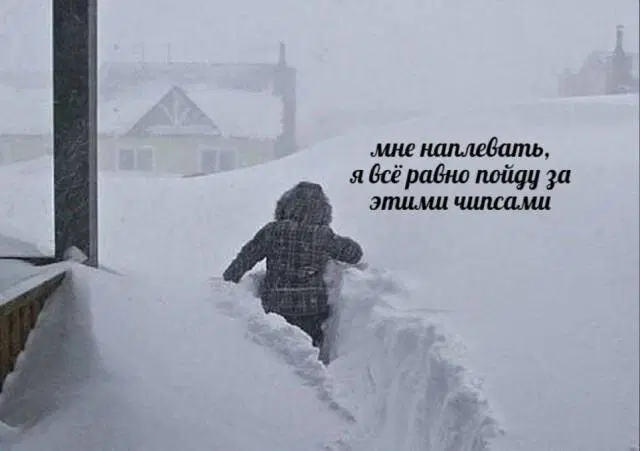 Дичь подана, идите в среду пожалуйста