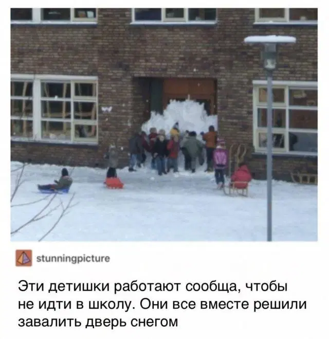 Дичь подана, идите в среду пожалуйста