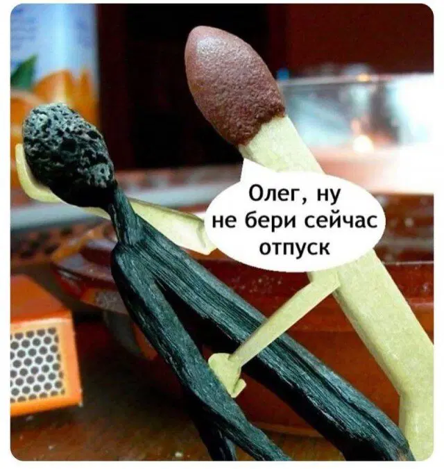 Дичь подана, идите в среду пожалуйста