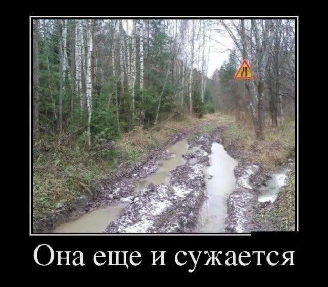 Дичь подана, идите в среду пожалуйста