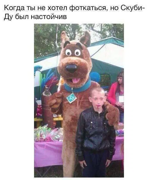 Дичь подана, идите в среду пожалуйста