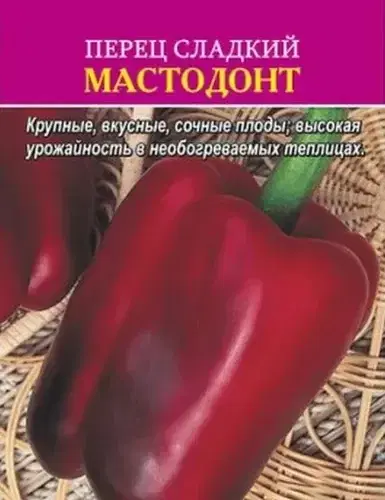 У перца есть и брат Томат и выглядят они прям нажористо 
