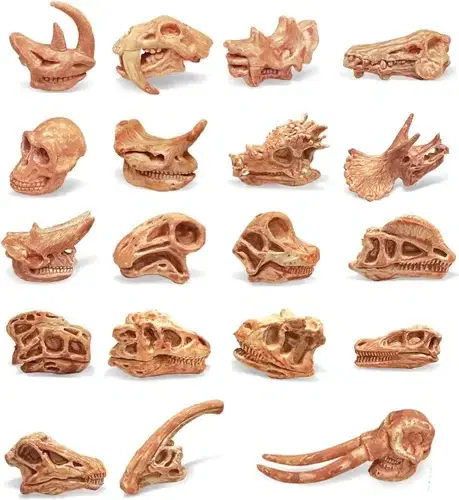 А вот прикупить набор черепов это прям идея гуд! 