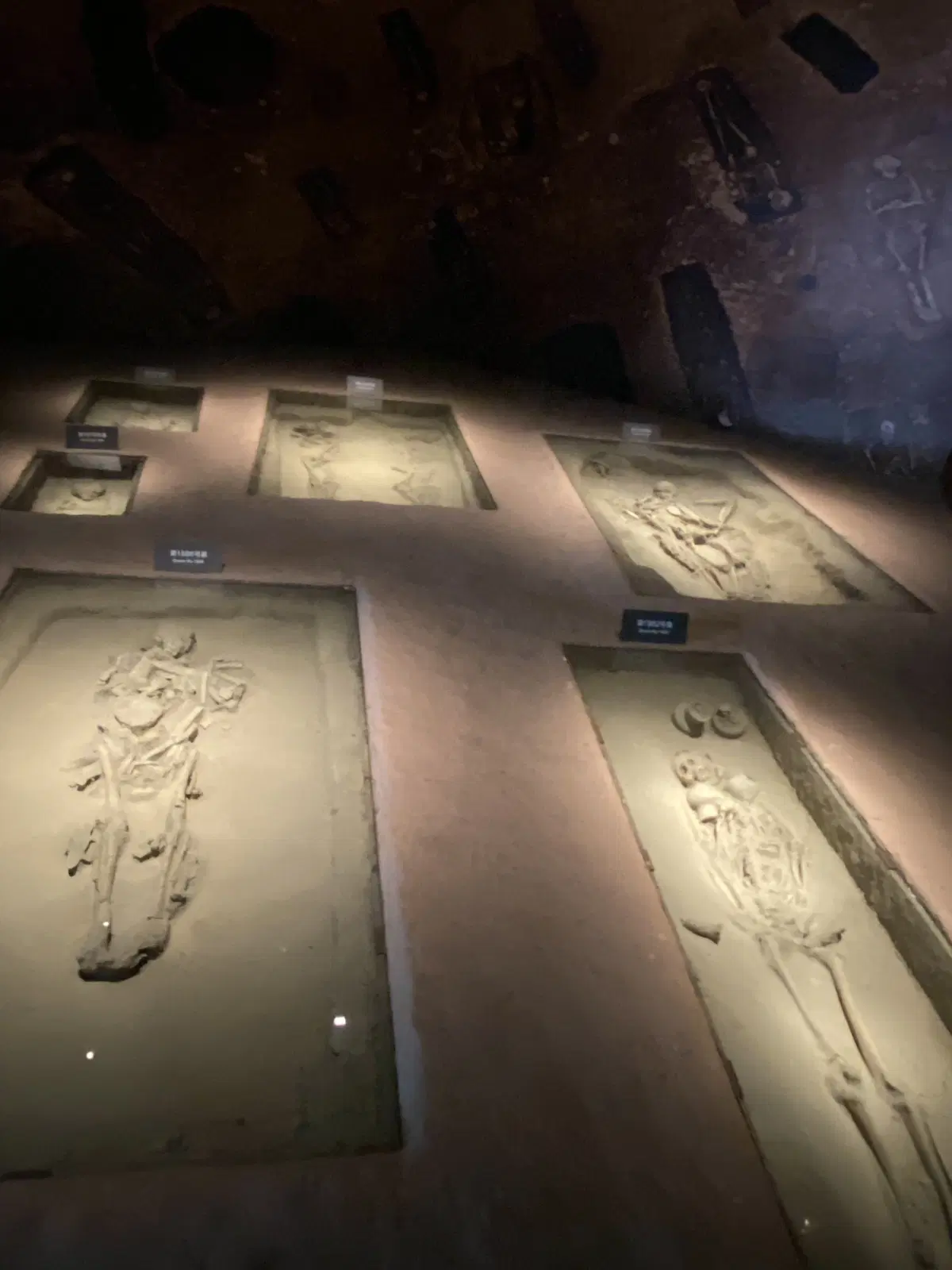 Бренные останки.