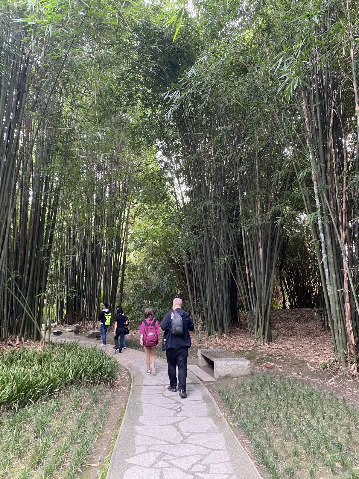 Китай. Ченду. Музеи. 2025 год.