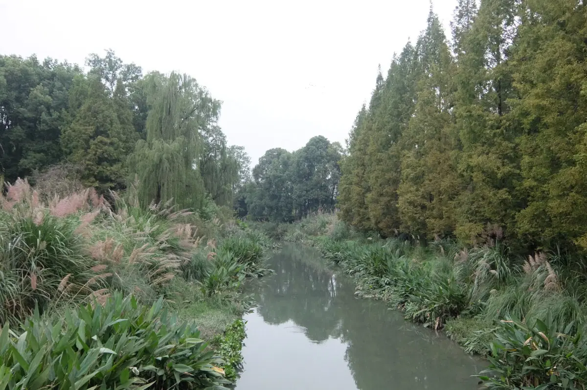 Китай. Ченду. Музеи. 2025 год.