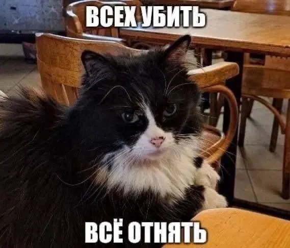 Дичка подготовительная пятничковая