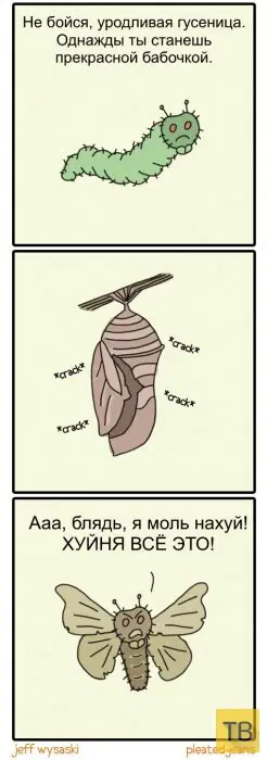 Дичка подготовительная пятничковая