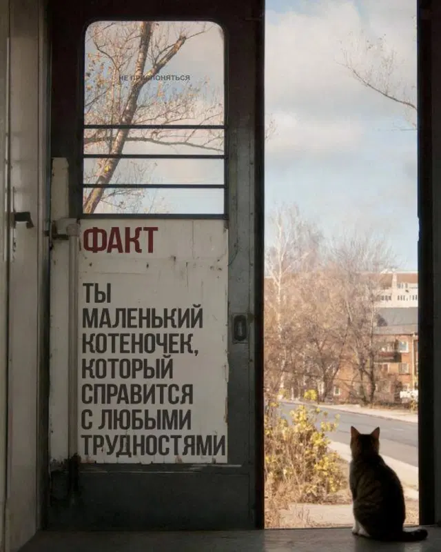 Дичка подготовительная пятничковая