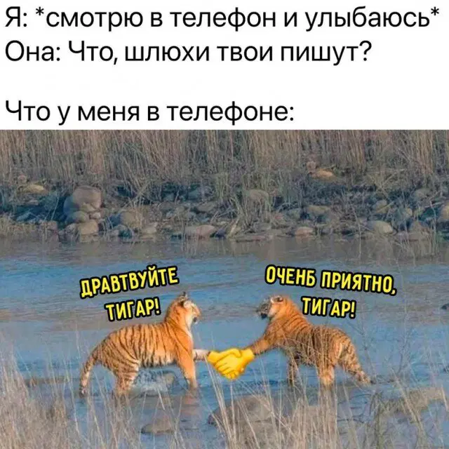 Дичка подготовительная пятничковая