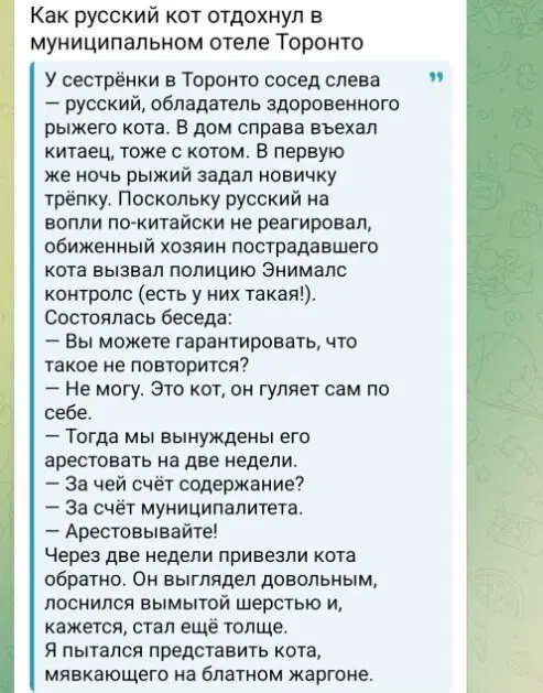 Дичка подготовительная пятничковая