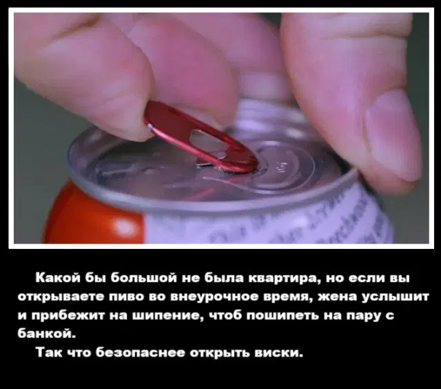 Дичка подготовительная пятничковая