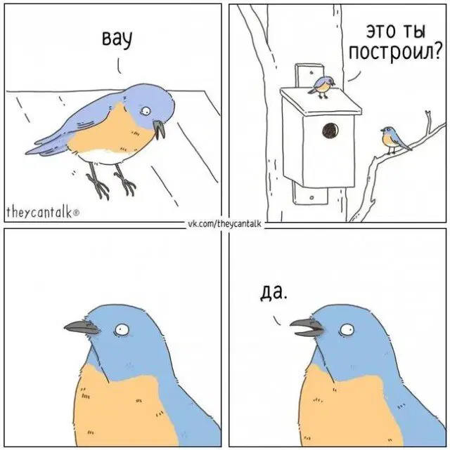 Дичка подготовительная пятничковая