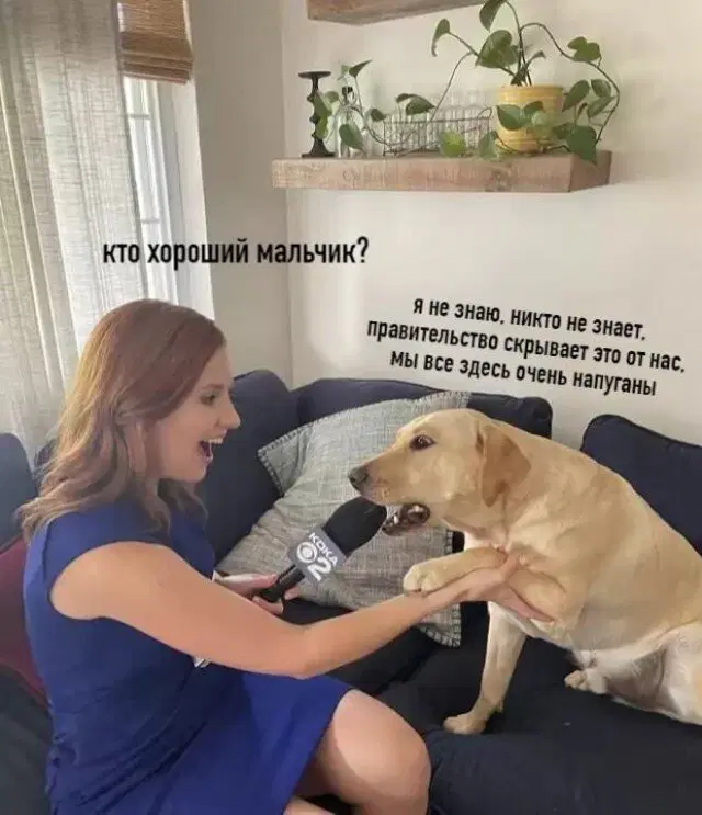 Дичка на выходные