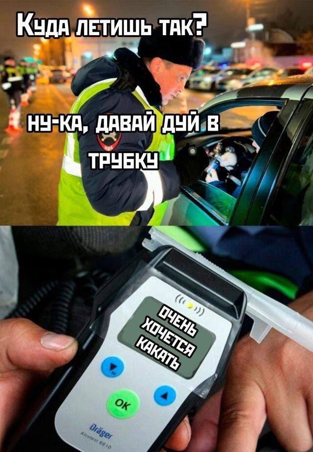 Дичка на выходные