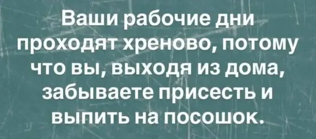 Дичка на выходные