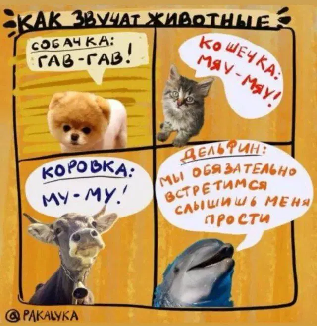 Дичка на выходные