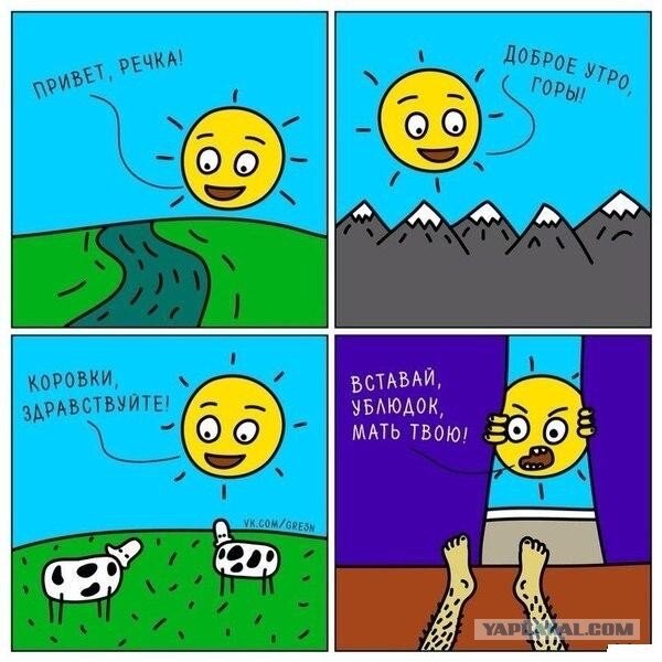 Дичка на выходные